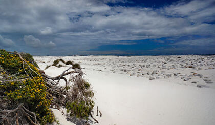Olifantbos Beach