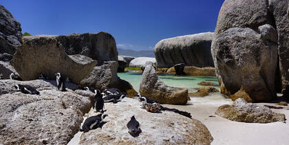 Boulders Beach