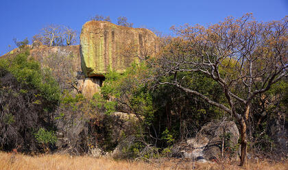 Rock and trees