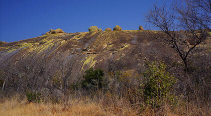 Granite whaleback