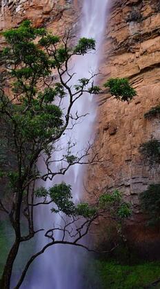 Falls