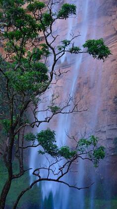 Falls