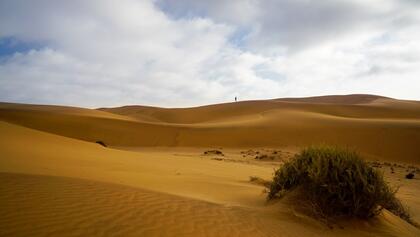 Dunes