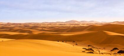 Dunes