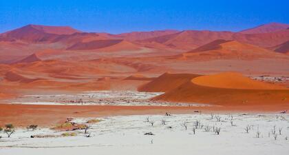 Deadvlei