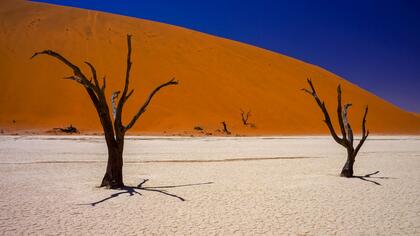 Deadvlei