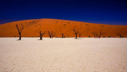 Deadvlei