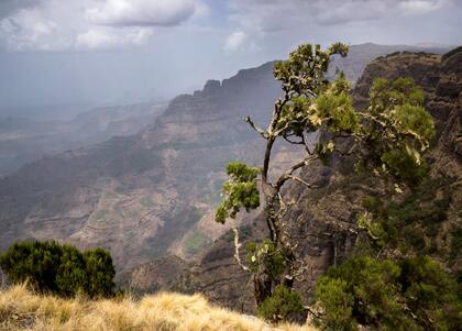 Simien mountains