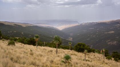Simien mountains