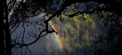 Victoria Falls