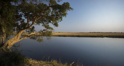 Chobe river