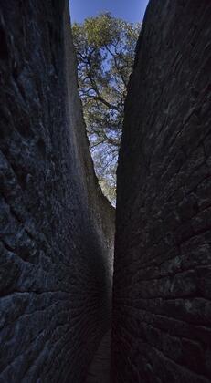 Great Zimbabwe