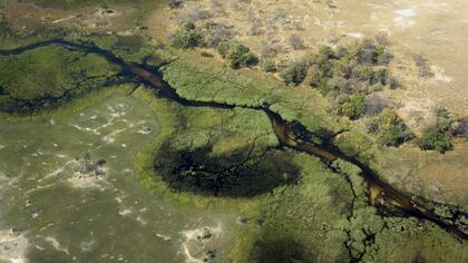Okavango