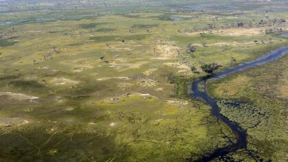 Okavango