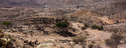 Danakil Desert