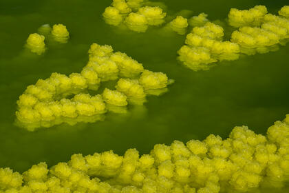 Dallol