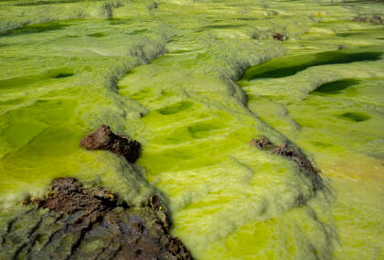 Dallol
