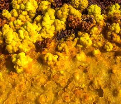 Dallol