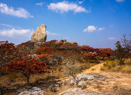 Nyanga