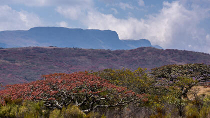 Mount Nyangani