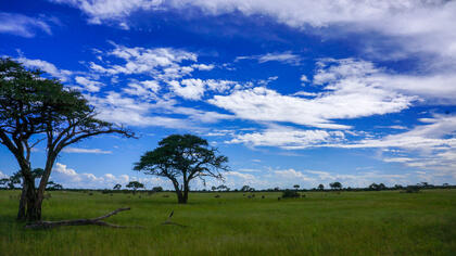 Hwange