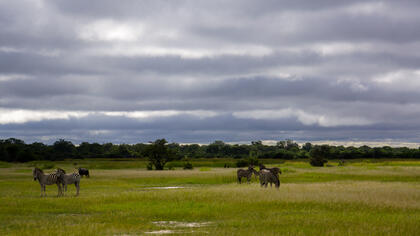 Hwange