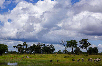Hwange