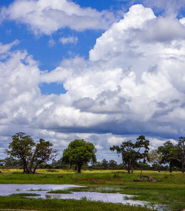 Hwange