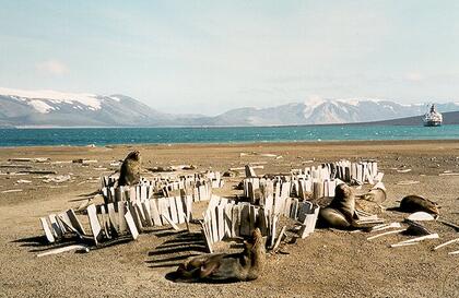 Barrels