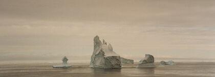 Bergs