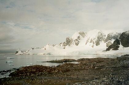 Cuverville Island