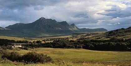 Ben Loyal