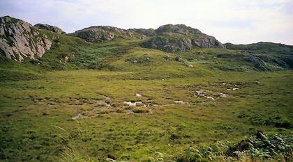 Bog