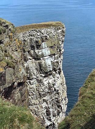 Handa Great Stack