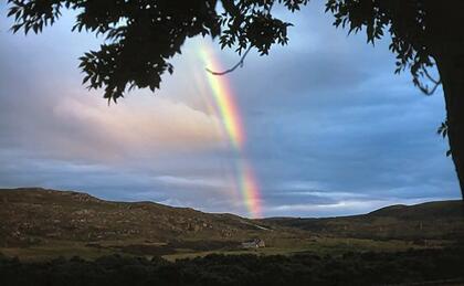 Rainbow