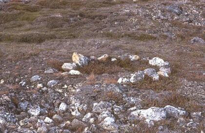 Inuit tent ring