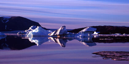 Bergs