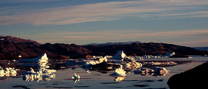Bergs
