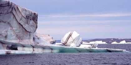 Berg