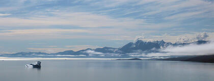 Stauning Alps