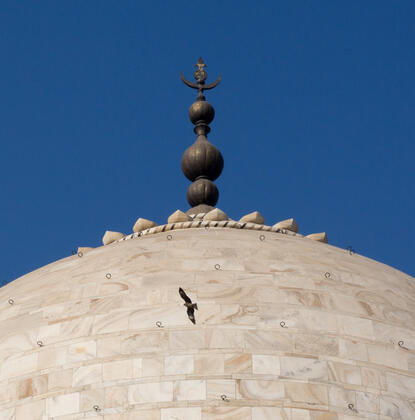 Taj Majhal