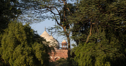 Taj Majhal