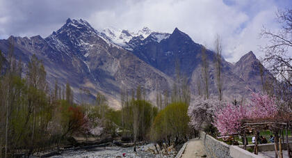 Shigar
