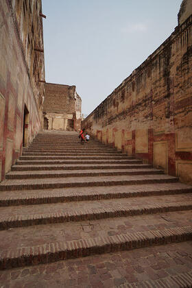 Elephant steps