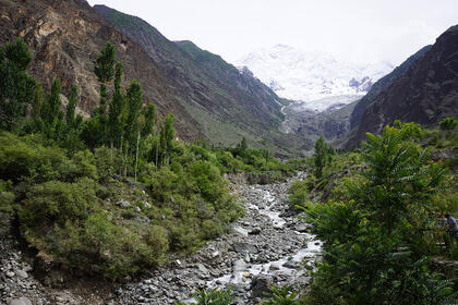 Rakaposhi