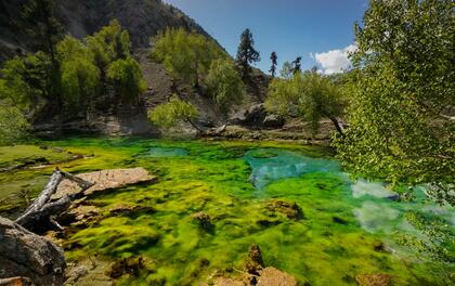 Naltar lake
