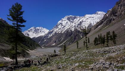 Naltar valley