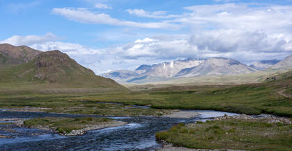 Deosai Plains