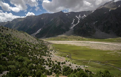 Rupal valley