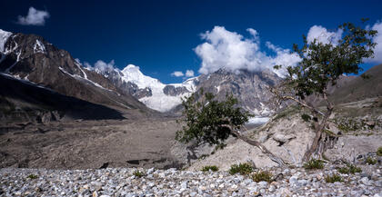 Rupal valley